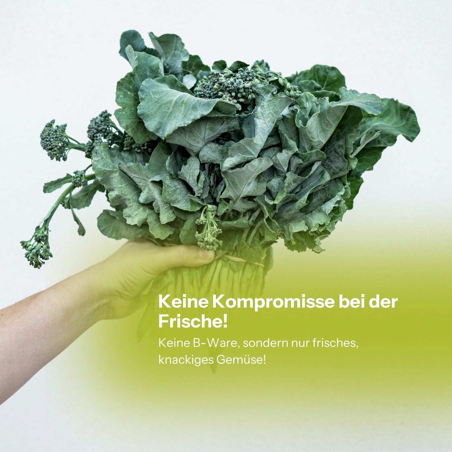 Bio-Hasenkiste