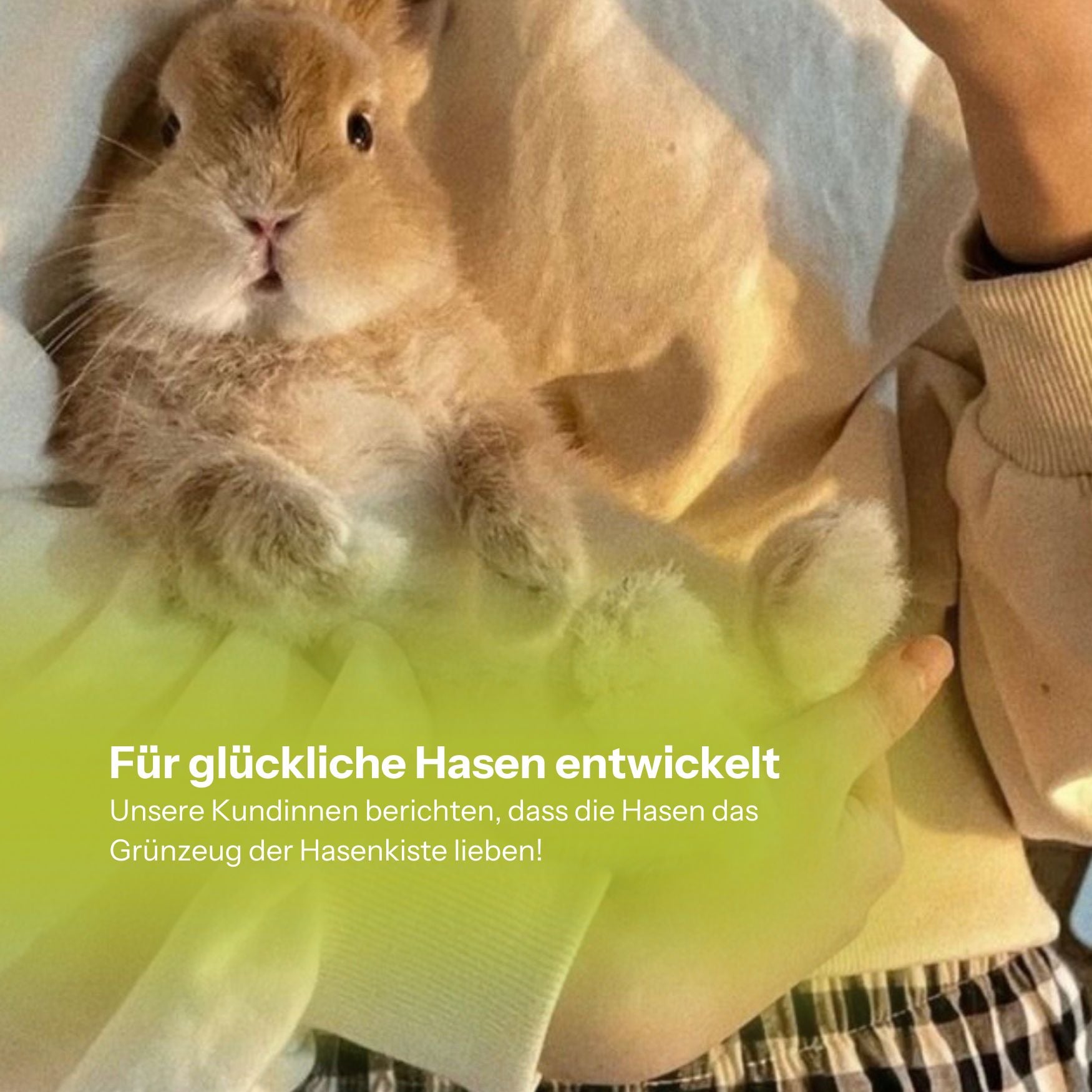 Bio-Hasenkiste